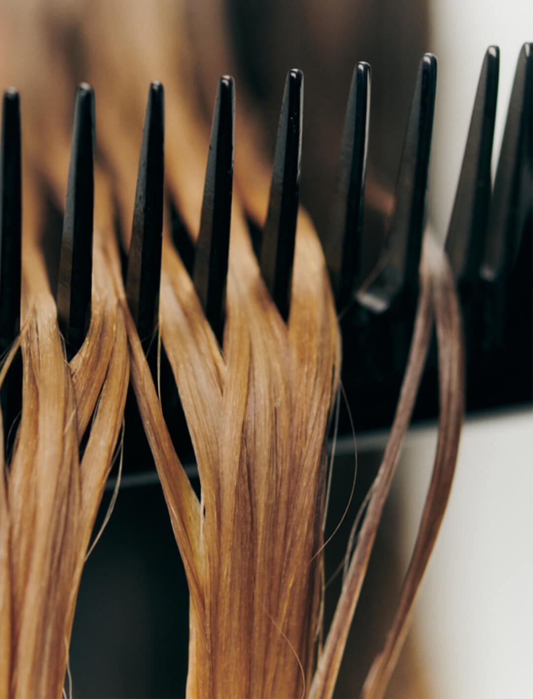 Close-up of wet hair strands caught in a black comb